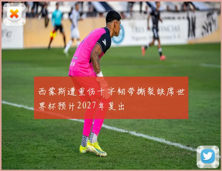 西蒙斯遭重伤十字韧带撕裂缺席世界杯预计2027年复出